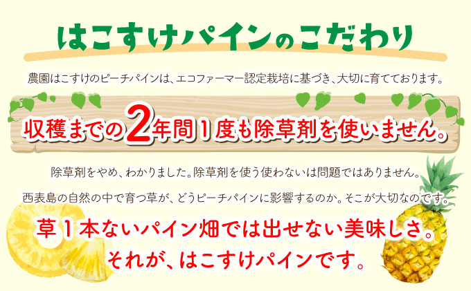 濃香ピーチパイン 約3kg 【E】★絶品★　2024年 先行予約 栽培期間中 農薬不使用 西表島 濃香 初エコファーマー認定【036-a002】