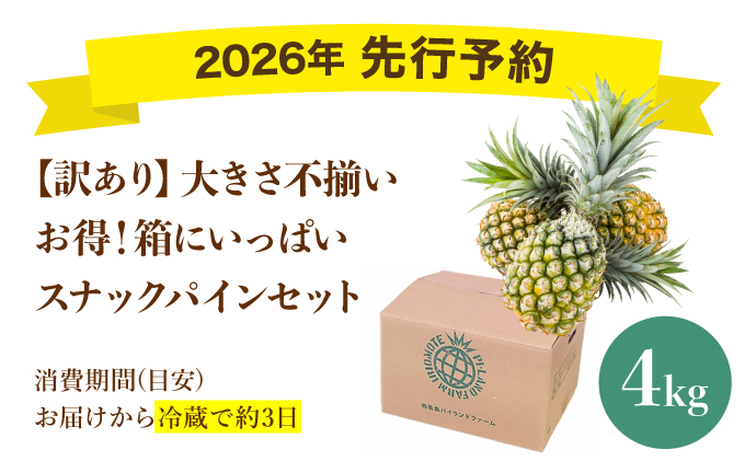 【訳あり】大きさ不揃い　お得！箱にいっぱいスナックパイン4㎏セット