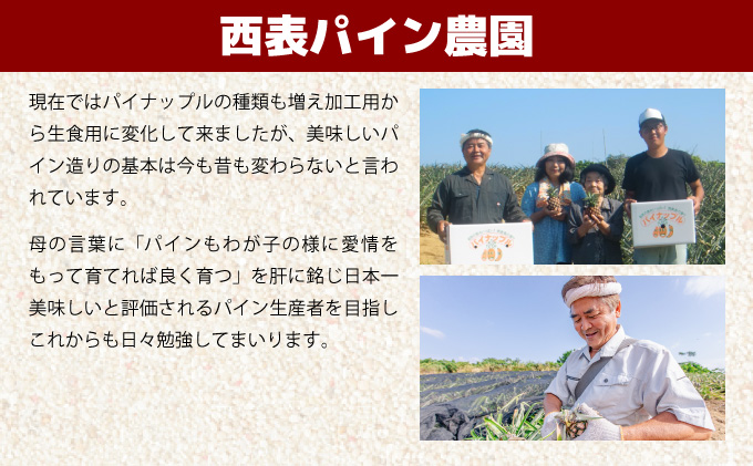 【2026年発送】リピータ続出！西表パイン園の蜜入り ピーチパイン4kgセット