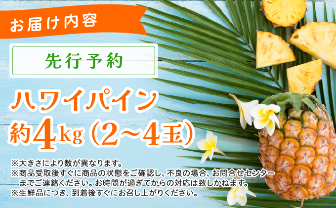 《2025年先行予約》ハワイパイン約4kg 【お届け：2025年6月中旬～7月下旬】【農園ファイミール 完熟 果物 フルーツ パイン パイナップル】