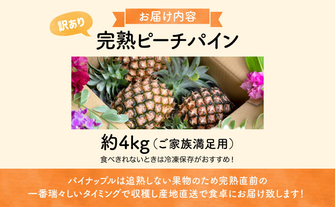 訳あり パイン 2024年 先行予約 人気No.１ 完熟 ピーチパイン 約4Kg 西表島ナウパカ ご家族満足用 ☆ほんの〜り桃の香りのする不思議なパイン☆