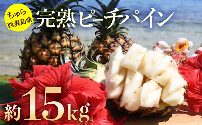 2026年 先行予約 ピーチパイン 約15kg 15〜23玉 ちゅら西表島産!! ゆたか農園 完熟 パイン 果物 フルーツ パイナップル