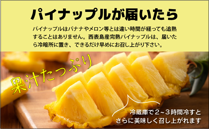 ã2026幎çºéãååœã®éŠãïŒ æ©ç©«ãå®çãã€ã³