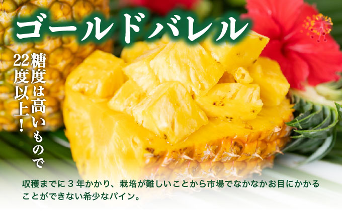 リピート率No.1！パイナップル4種類＆マンゴー＆生ジュースを5回にわけて毎月お届け！