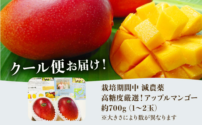 2024年 先行予約 アップルマンゴー 約700g 1〜2玉 高糖度厳選！栽培期間中 減農薬！アナナス農園 完熟 マンゴー 果物 フルーツ