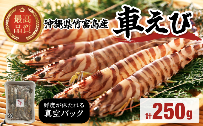 車えび 竹富島産 真空パック（冷凍） 250g