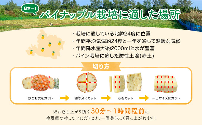 【訳あり】☆新感覚の味わい☆まるで桃のような甘〜い香り　『西表島産完熟ピーチパイン』 約3.5kg