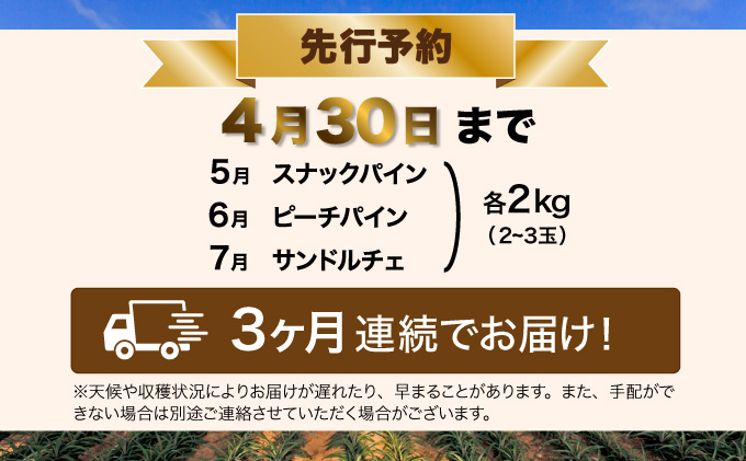 定期便 3ヶ月 2024年 先行予約 スナックパイン ピーチパイン サンドルチェ 3種の旬のパイン パイン畑から直送