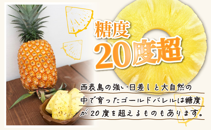 2026幎 å
è¡äºçŽ ãã€ã³ ãŽãŒã«ããã¬ã« çŽ3kg 2ïœ4ç ãŸãã¿èŸ²å çã¿ ãã£ã·ã ãã€ãããã« æç© ãã«ãŒã