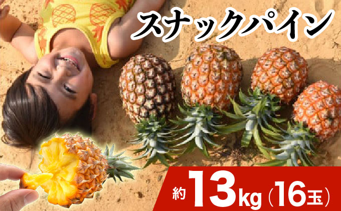2026年 先行予約 スナックパイン 約13kg 16玉 西表島ひらい農園 パイナップル 果物 フルーツ パイン