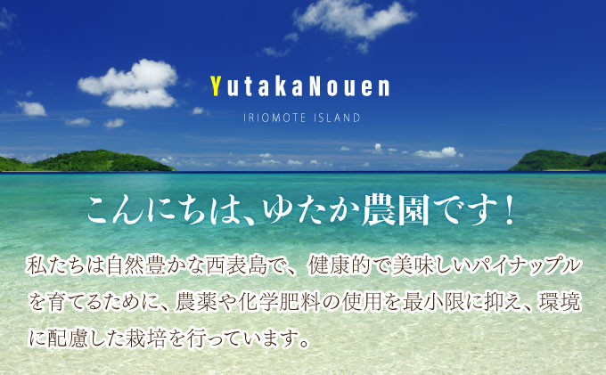 2025年 先行予約 ピーチパイン 約3kg 3玉〜4玉 ちゅら西表島産!! ゆたか農園 完熟 パイン 果物 フルーツ パイナップル