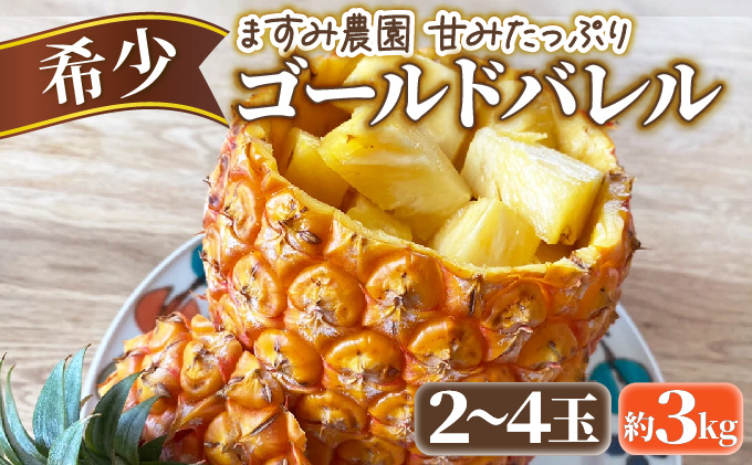 2026幎 å
è¡äºçŽ ãã€ã³ ãŽãŒã«ããã¬ã« çŽ3kg 2ïœ4ç ãŸãã¿èŸ²å çã¿ ãã£ã·ã ãã€ãããã« æç© ãã«ãŒã