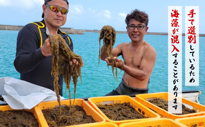 小浜島の豊かな海で育ったもずく（味付け）6パック