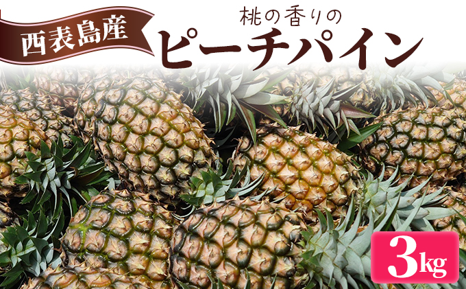 2026年 先行予約 ピーチパイン 約3kg (3～5玉) 桃の香り ますみ農園 パイン 果物 フルーツ パイン