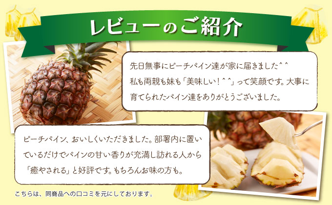 å®æäŸ¿ 2ã¶æ 2026幎 å
è¡äºçŽ ããŒããã€ã³ çŽ7.5kg çµ¶å â
ãã¡ããªãŒãµã€ãºâ
西衚島 åãšã³ãã¡ãŒããŒèªå® 2å ãæ¥œãã¿ æç© ãã«ãŒã