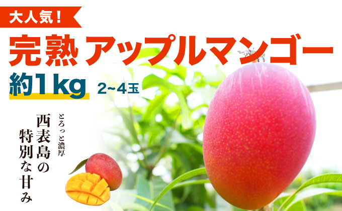 2026年 先行予約 アップルマンゴー 約1kg (2～4玉) 完熟 マンゴー ますみ農園 果物 フルーツ