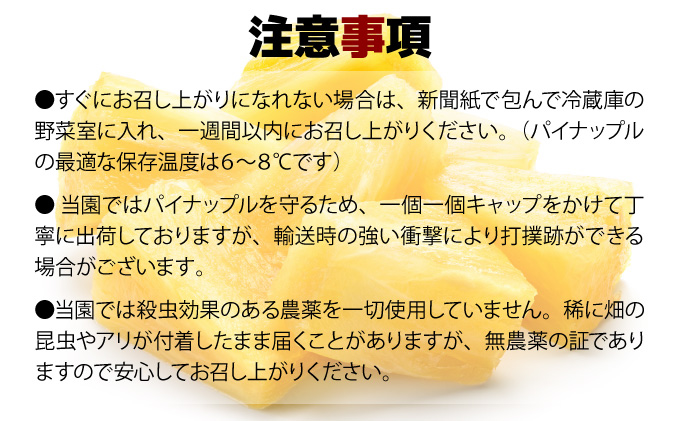 ã2026幎çºéãååœã®éŠãïŒ æ©ç©«ãå®çãã€ã³