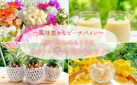 ☆新感覚の味わい☆桃のような芳醇な香りのする　『西表島産完熟ピーチパイン』 約3.5kg（5〜6個入）