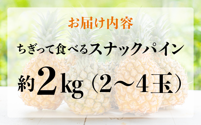 知名度NO.1！糖度が高く真っ黄色な新感覚パイン☆　ちぎって食べるスナックパイン2kg（2～4玉）