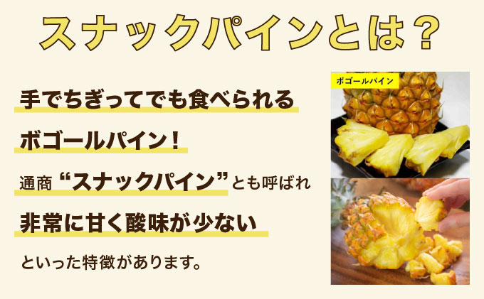 2026年 先行予約 スナックパイン 約7kg 10玉 西表島ひらい農園 パイナップル 果物 フルーツ パイン