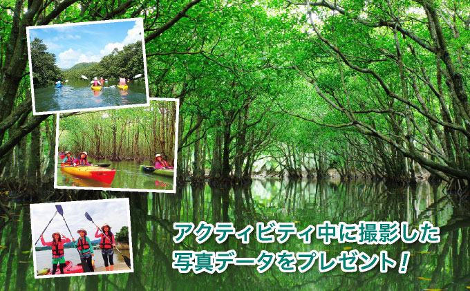 西衚島ãã³ã°ããŒãã«ããŒãã¢ãŒãïœäºç±åž¯ã®èªç¶ãåæ¥ã§æºå«ãå¬ããæŒé£ä»ãïŒïŒæå®ããã«éè¿éžæå¯ïŒç³å£å³¶çºïŒã æ
è¡ äœéšãã±ãã芳å
倧èªç¶ äœéšãã¢ãŒ 芳å
æ²çž ã¢ã¯ãã£ãã㣠ã«ããŒã