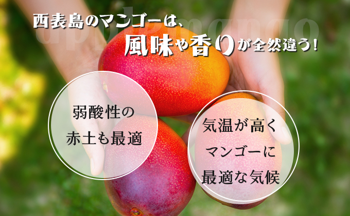 2026幎 å
è¡äºçŽ ãã€ã³ ãã³ãŽãŒ ã»ãã ãããã«ã«ãã«ãŒãã»ãã ãŸãã¿èŸ²å æç©