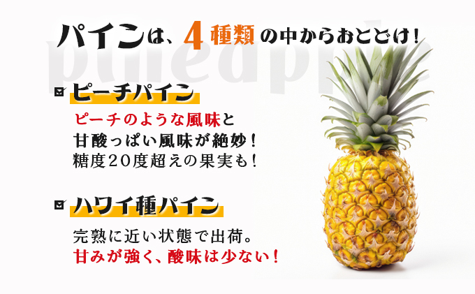 2026幎 å
è¡äºçŽ ãã€ã³ ãã³ãŽãŒ ã»ãã ãããã«ã«ãã«ãŒãã»ãã ãŸãã¿èŸ²å æç©