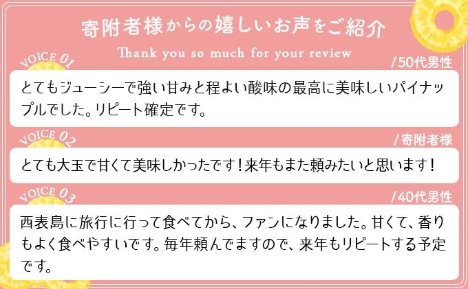 2026年 先行予約 ピーチパイン 2玉 ★西表島ふる～つらんど★不動の人気No.1 甘熟 果物 フルーツ パイン