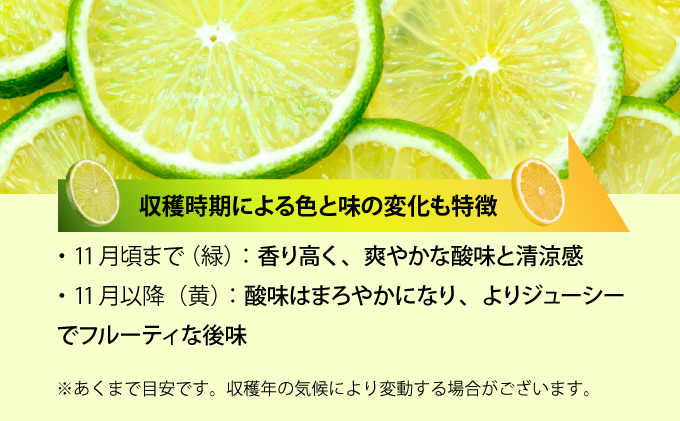 まとめてお得、果汁たっぷり マイヤーレモン（島レモン）約5kg