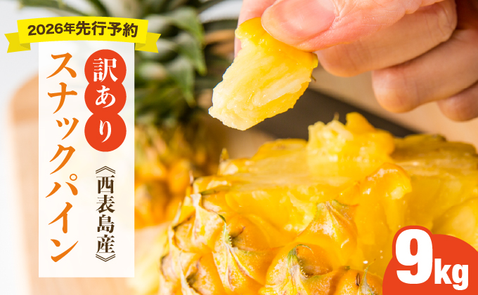 【訳あり】大きさ不揃い　お得！箱にいっぱいスナックパイン9㎏セット