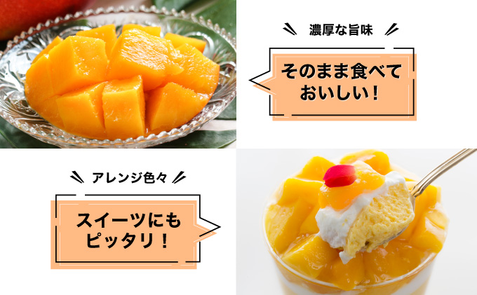 2026年 先行予約 アップルマンゴー 約1kg (2～4玉) 完熟 マンゴー ますみ農園 果物 フルーツ