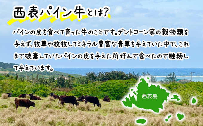 西表パイン牛　カレー・シチュー用500g・ハンバーグ150g5個セット【竹富町】【ハンバーグ カレー シチュー 煮込み用 牛肉 経産牛 パイン牛 沖縄 おかず 西表島でしか】