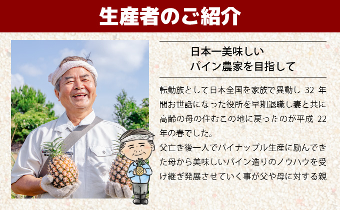 【2026年発送】リピータ続出！西表パイン園の蜜入り ピーチパイン8kgセット