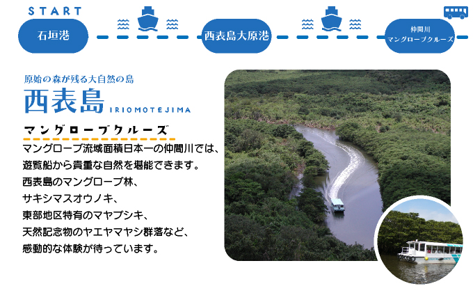 西表島・由布島・竹富島３島めぐり（竹富フリープラン）