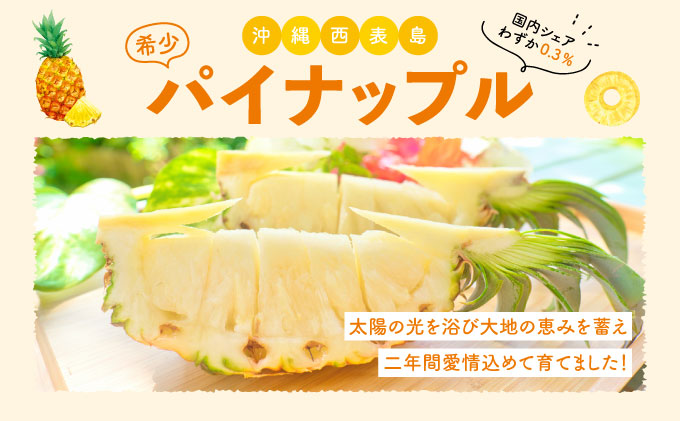 【訳あり】☆新感覚の味わい☆まるで桃のような甘〜い香り　『西表島産完熟ピーチパイン』 約3.5kg