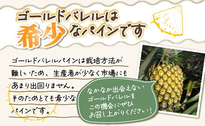 2026幎 å
è¡äºçŽ ãã€ã³ ãŽãŒã«ããã¬ã« çŽ3kg 2ïœ4ç ãŸãã¿èŸ²å çã¿ ãã£ã·ã ãã€ãããã« æç© ãã«ãŒã