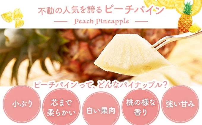 2026年 先行予約 ピーチパイン 2玉 ★西表島ふる～つらんど★不動の人気No.1 甘熟 果物 フルーツ パイン