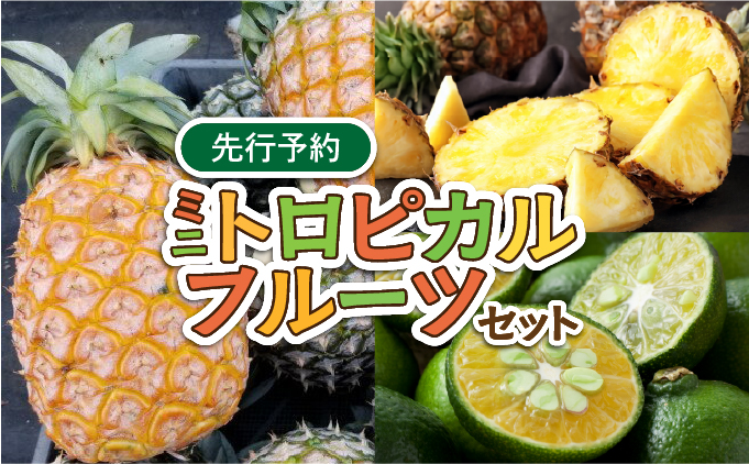 2026年 先行予約 ミニトロピカルフルーツ セット パイン シークワーサー ☆西表島ふる～つらんど☆ 果物 フルーツ