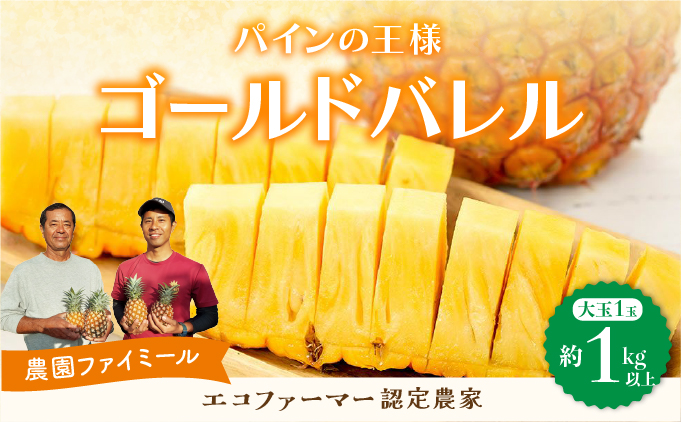 2026年 先行予約 最高級 パイン 完熟 ゴールドバレル 1.0kg以上 大玉1玉 果物 フルーツ パイナップル