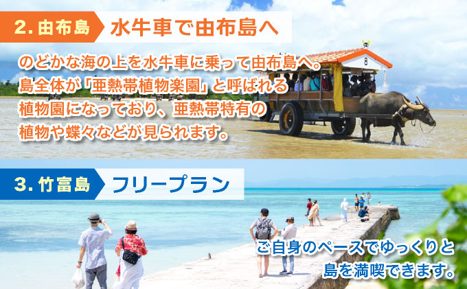 大人気の3島めぐりツアー 西表島・由布島・竹富島を満喫する日帰りツアー マングローブ遊覧＋水牛車＋選べる竹富島での過ごし方＜1日／昼食付＞【 旅行 体験チケット観光 大自然 体験ツアー 観光 沖縄 アクティビティ 】