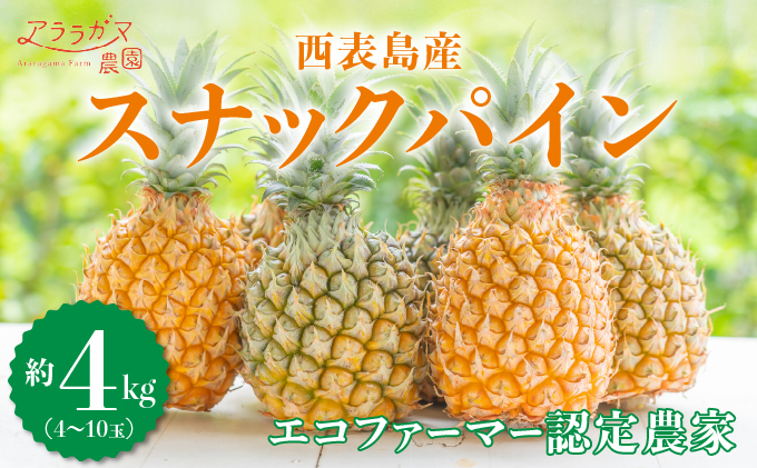 知名度NO.1！糖度が高く真っ黄色な新感覚パイン☆　ちぎって食べるスナックパイン4kg（4～10玉）