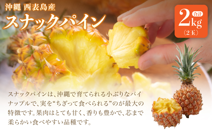 2026年 先行予約 熟鮮スナックパイン2kg （2玉）と甘さをぎゅっと詰め込んだ100％ パイナップルジュース 1本