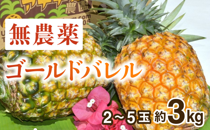 2024年 先行予約 パイナップル ついに実現！栽培期間中 完全有機 無農薬 アナナスバレル 約3kg 2〜5玉 果物 フルーツ