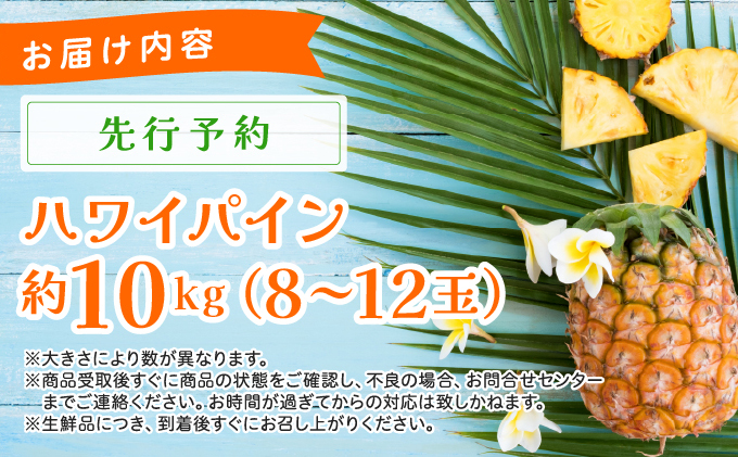 《2025年先行予約》ハワイパイン約10kg 【お届け：2025年6月中旬～7月下旬】【農園ファイミール 完熟 果物 フルーツ パイン パイナップル】