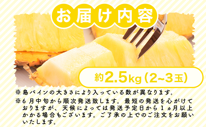 2026幎 å
è¡äºçŽ å³¶ãã€ã³ (ãã¯ã€çš®) çŽ2.5kgïŒ2ïœ3çïŒ ãã€ãããã«ã®çé è¥¿è¡šå³¶ç£ ãã€ã³ æç© ãã«ãŒã