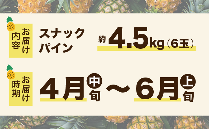2026年 先行予約 スナックパイン 約4.5kg 6玉 西表島ひらい農園 パイナップル 果物 フルーツ パイン