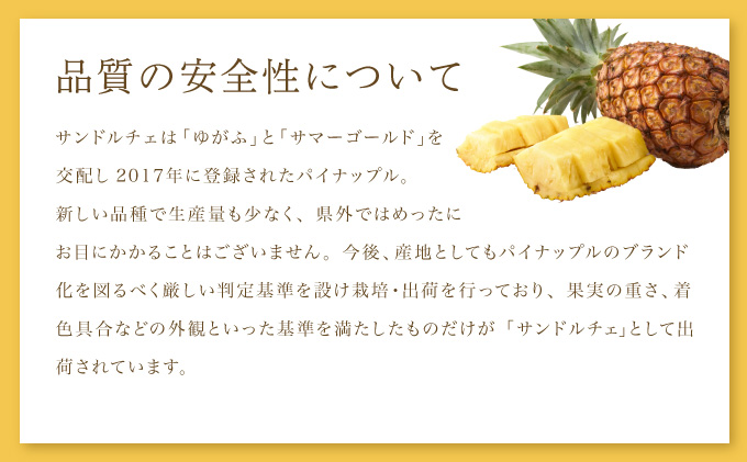 2025年 先行予約 セット パイン 熟鮮サンドルチェ(R) 3kg(2〜3玉 )沖縄 西表島産 レア品種 沖縄 西表島産 果物 フルーツ