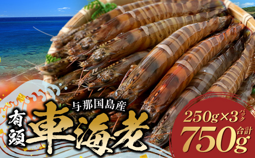 【F009】こだわりの車海老　有頭車海老（冷凍）250ｇ×3パック F009