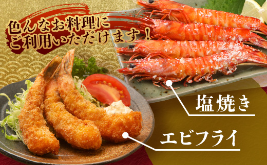 【F009】こだわりの車海老　有頭車海老（冷凍）250ｇ×3パック F009｜沖縄県 与那国町 与那国 車海老 車エビ 海老 えび エビ 産地直送