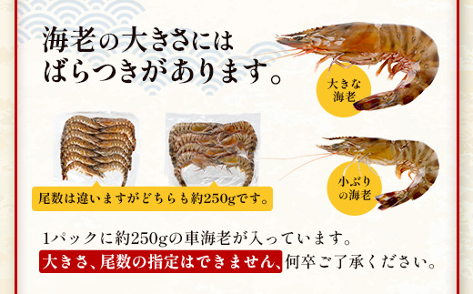 【F009】こだわりの車海老　有頭車海老（冷凍）250ｇ×3パック F009｜沖縄県 与那国町 与那国 車海老 車エビ 海老 えび エビ 産地直送